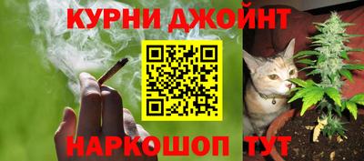 spice Севастополь